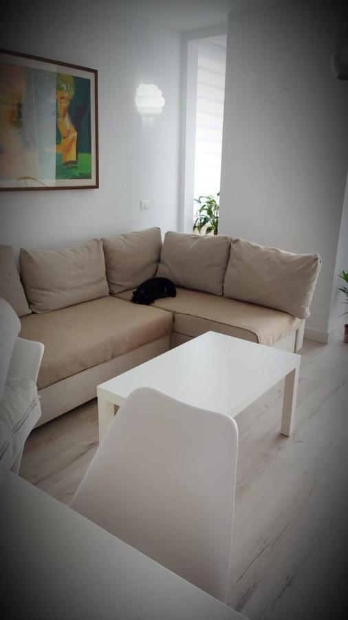 Salitre Suite 2 Tacoronte Εξωτερικό φωτογραφία